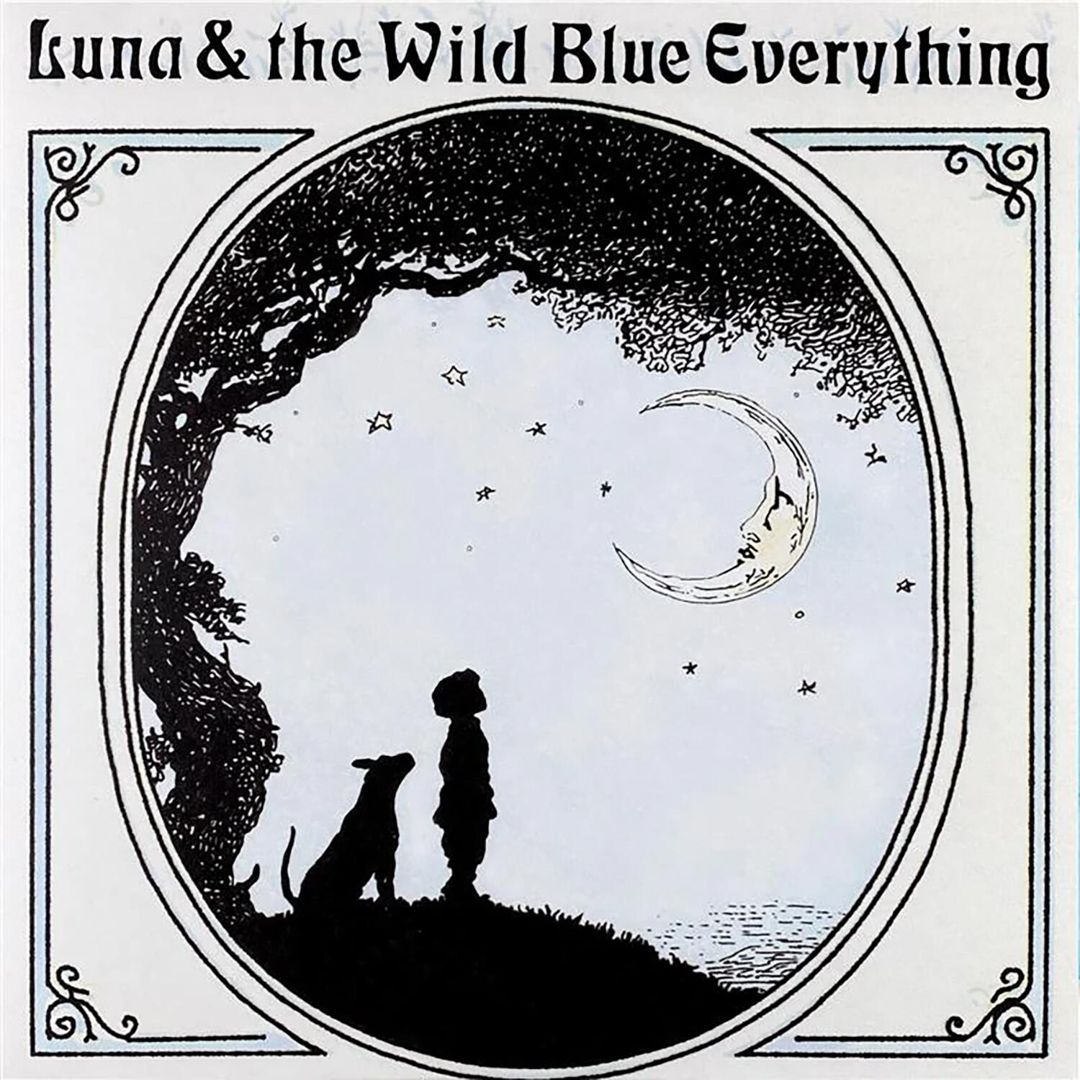Luna and the Wild Blue Everything cover art