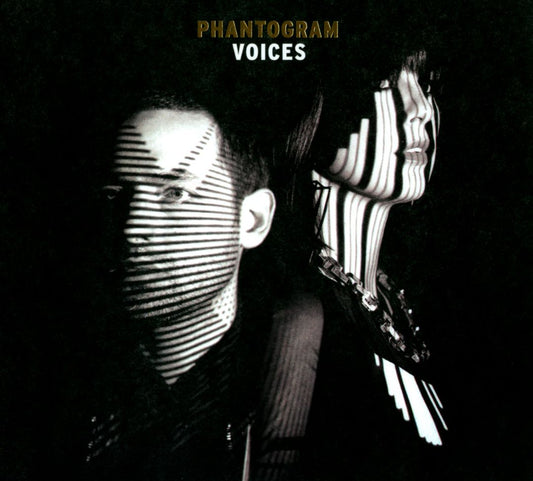 Voices [LP] cover art