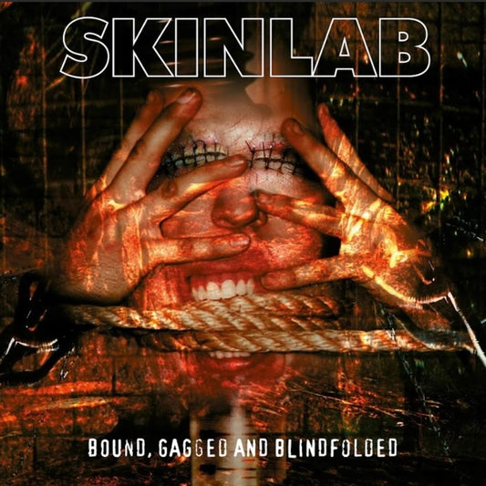 Bound, Gagged and Blindfolded cover art
