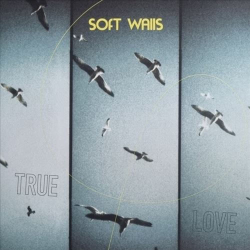True Love cover art