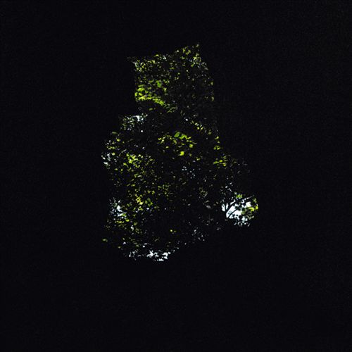 Precipice cover art