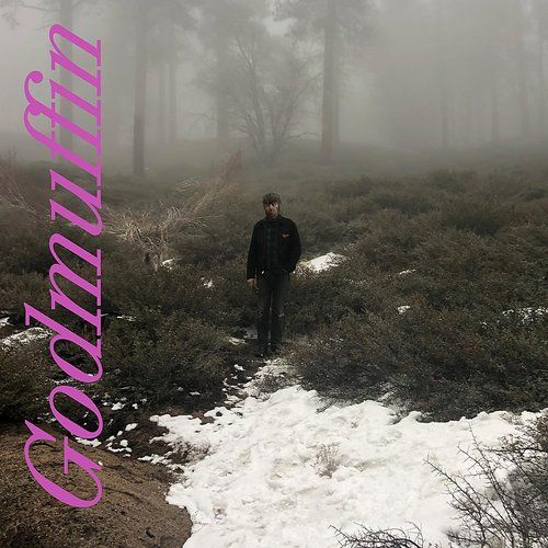 Godmuffin cover art
