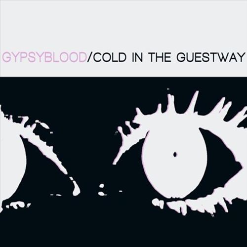 Cold in the Guestway cover art