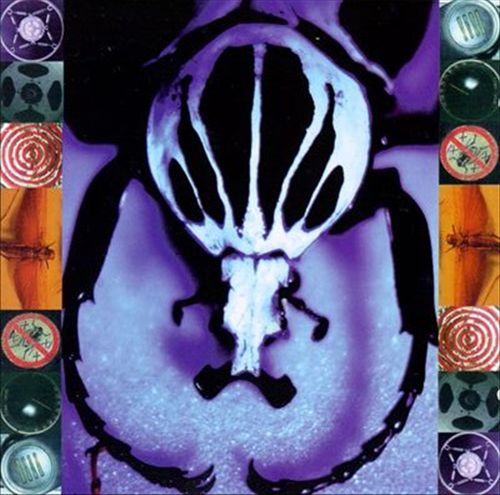 Make a Pest a Pet cover art