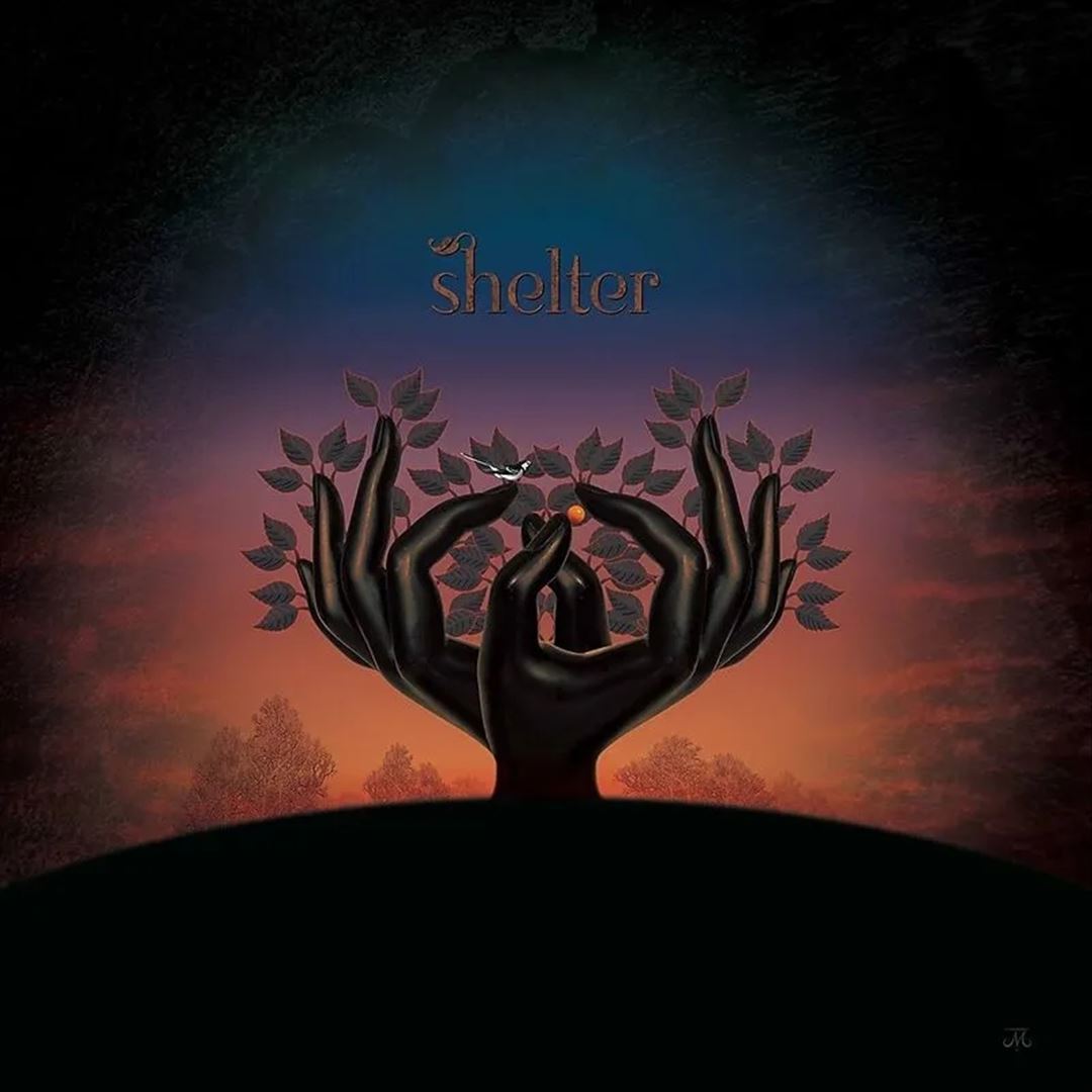 Shelter cover art