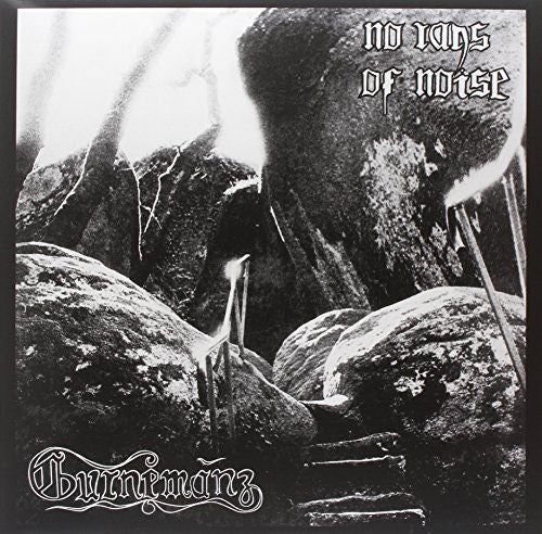 No Rays of Noise cover art