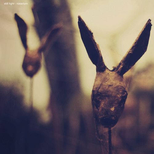 Rosarium cover art