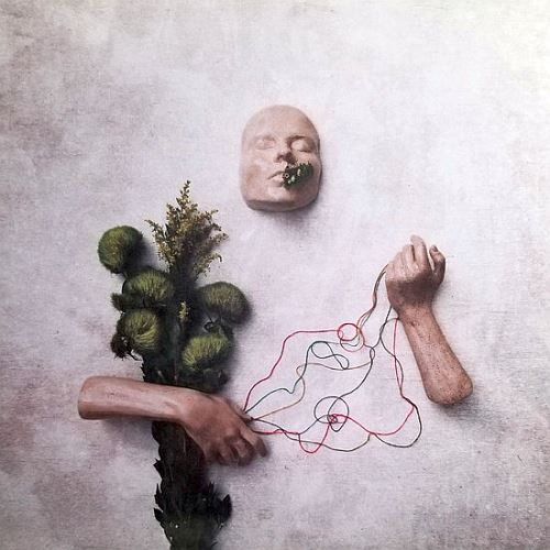 Mouth May Grow cover art