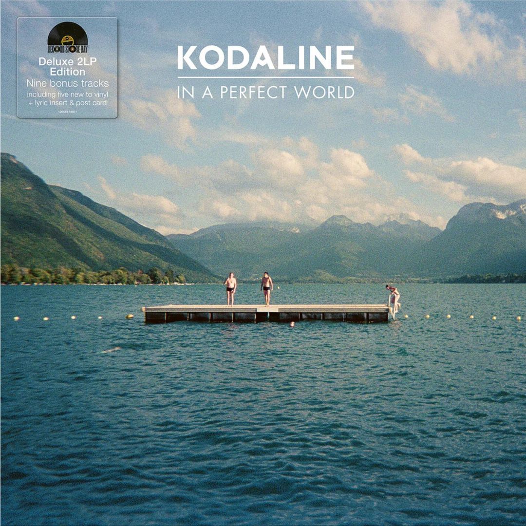 In a Perfect World [Limited] cover art