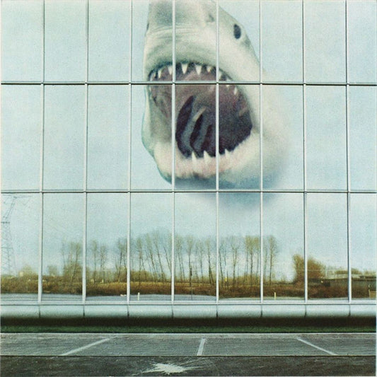 Wilderness Heart cover art