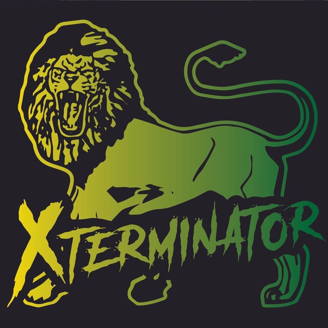 Xstory cover art