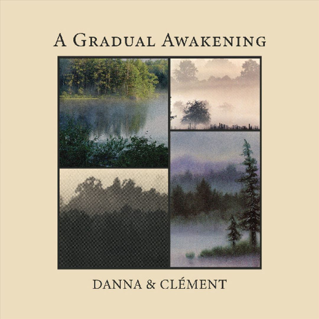 A Gradual Awakening cover art