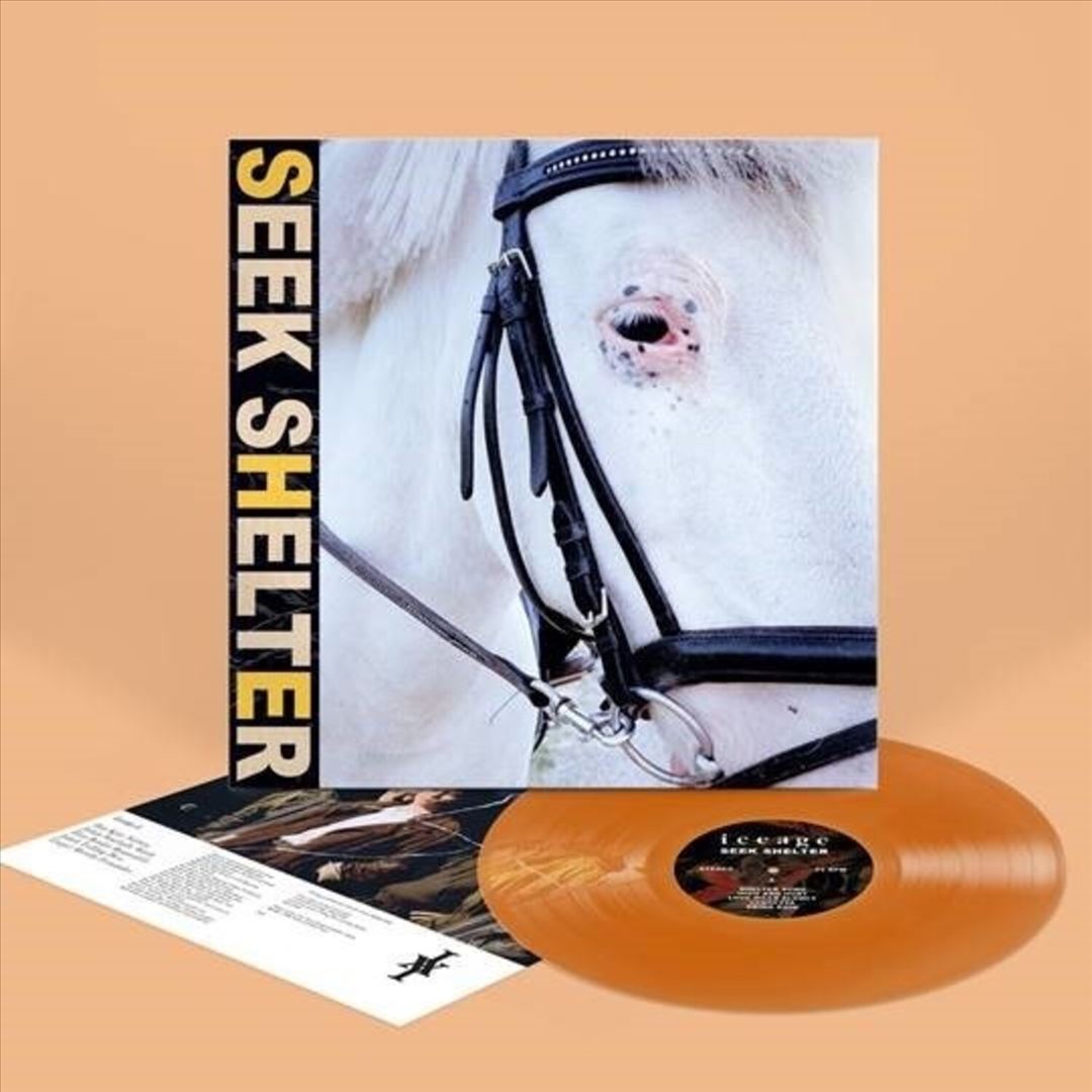 Seek Shelter cover art