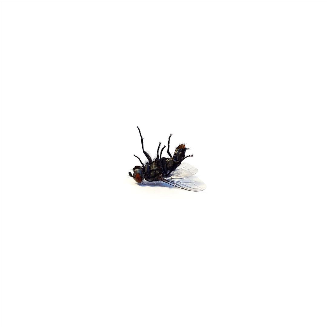 Bless Me cover art