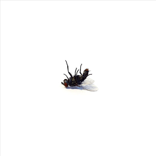 Bless Me cover art