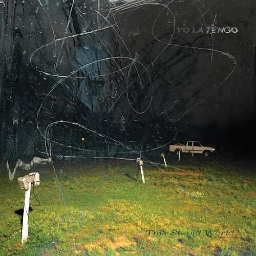 This Stupid World cover art