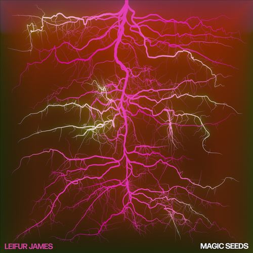 Magic Seeds cover art