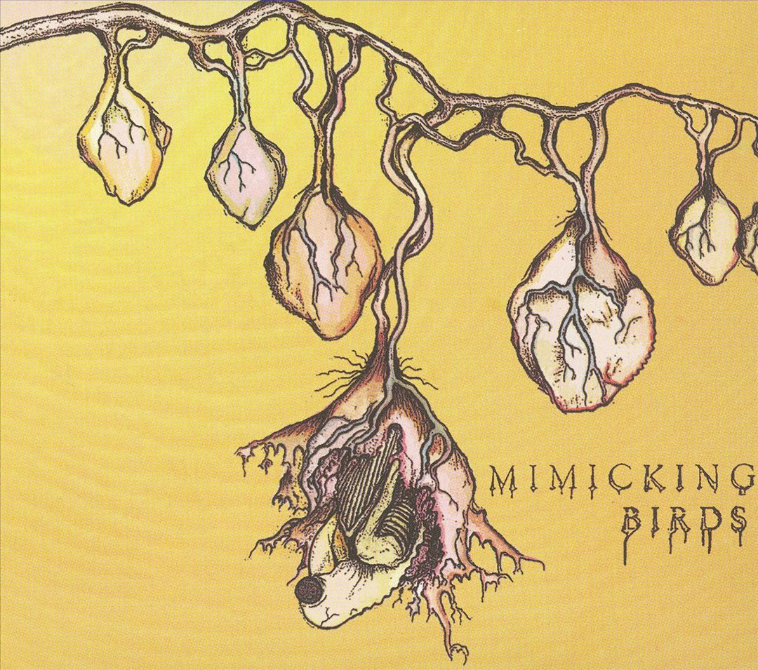 Mimicking Birds cover art