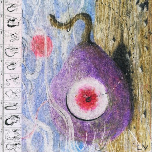 Inside Every Fig Is a Dead Wasp cover art