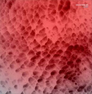 Cmm0001 cover art
