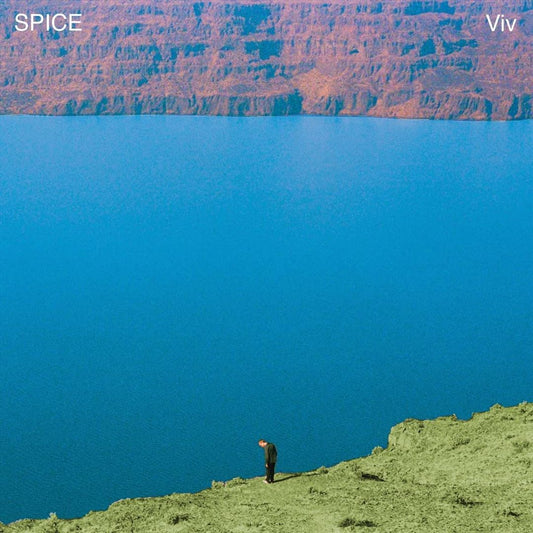 VIV cover art