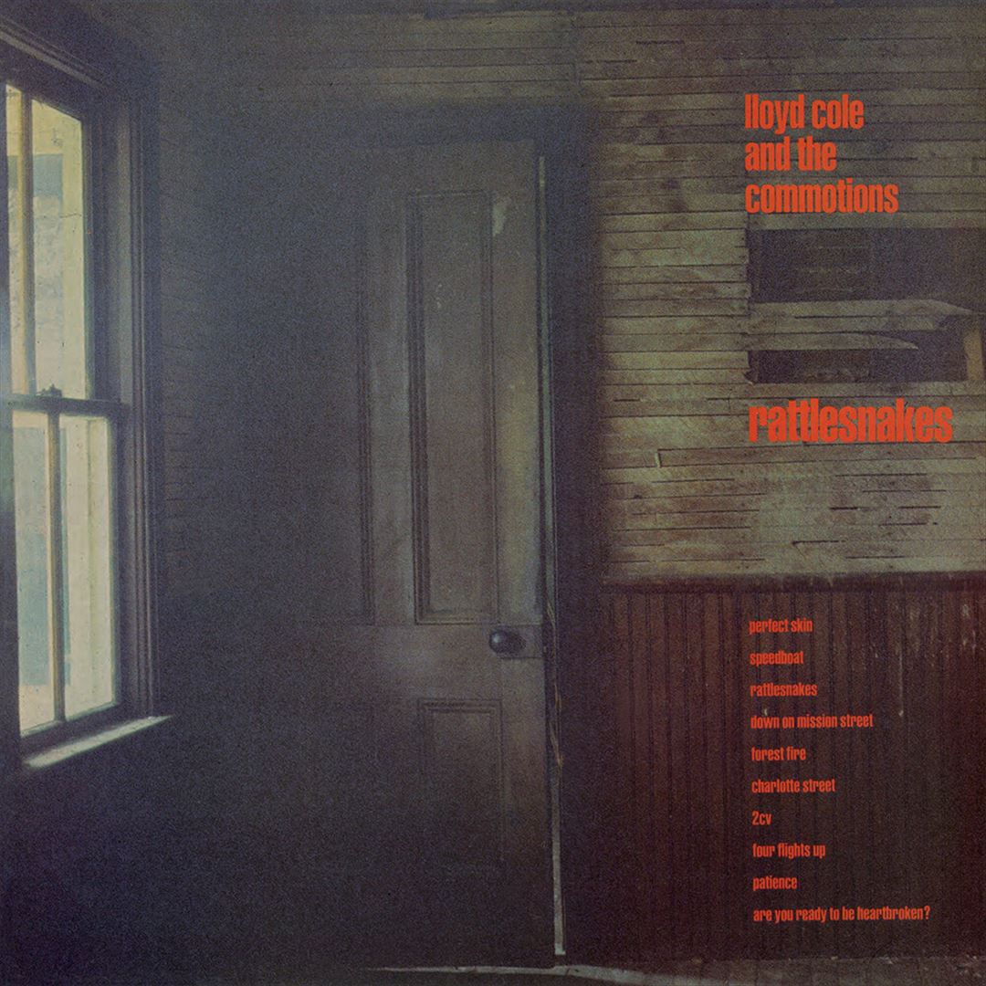 Rattlesnakes cover art