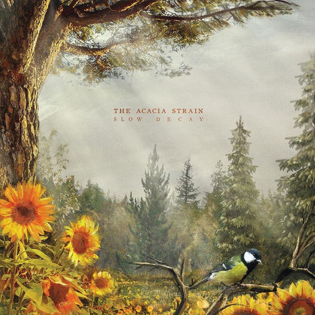 Slow Decay cover art