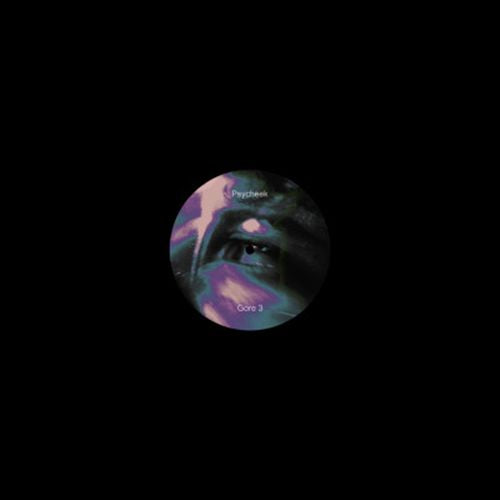 Gore 3 cover art