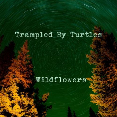 Wildflowers cover art