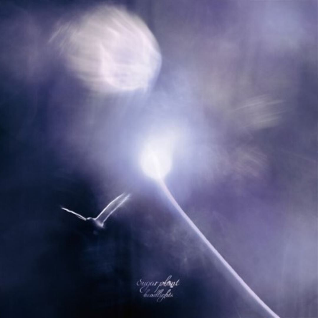 Headlights cover art