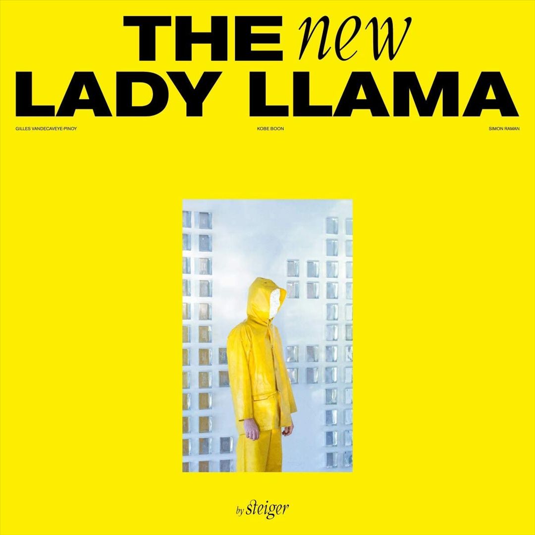 New Lady Llama cover art