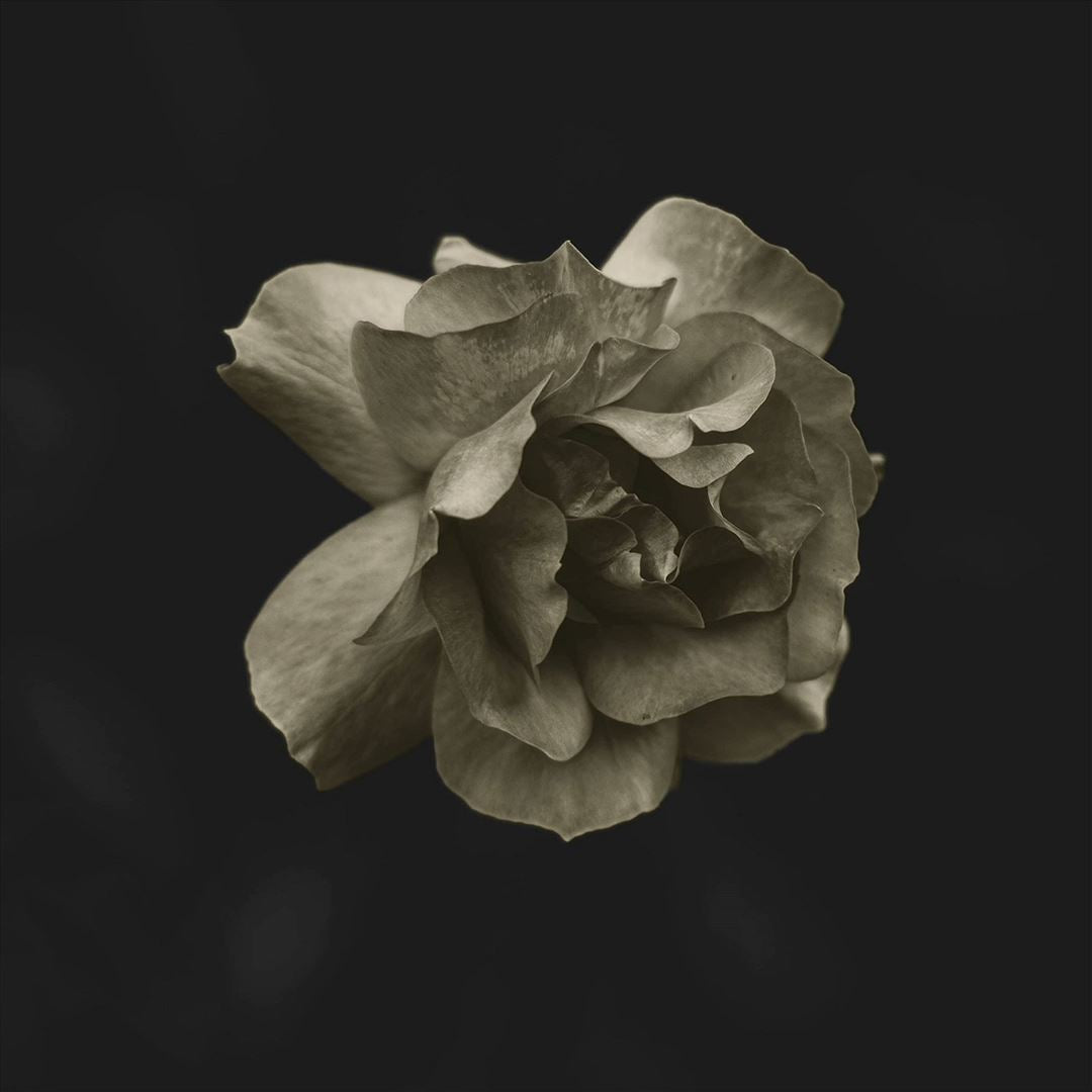 GLDMTH cover art