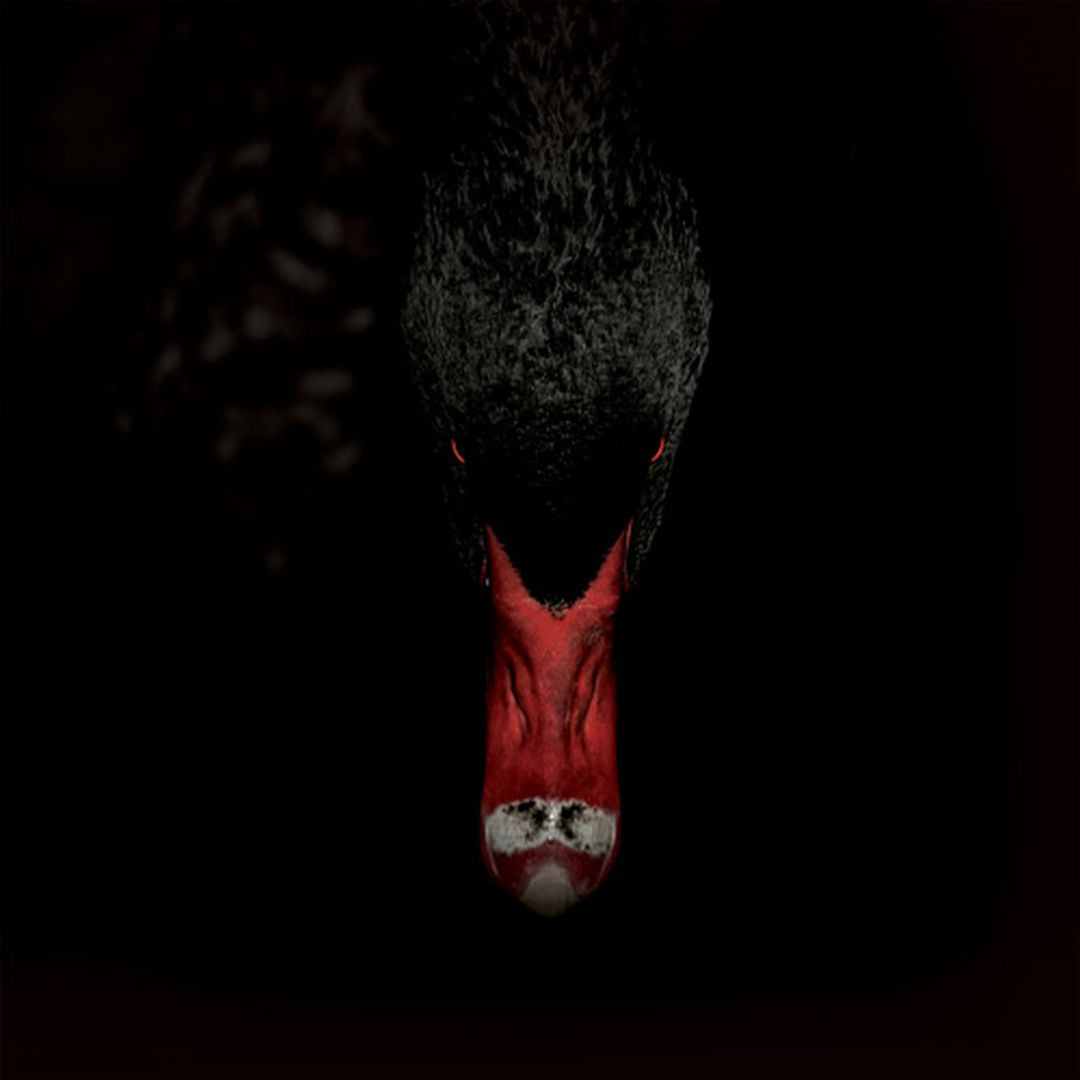 Männerfreundschaften und Metaphysik cover art