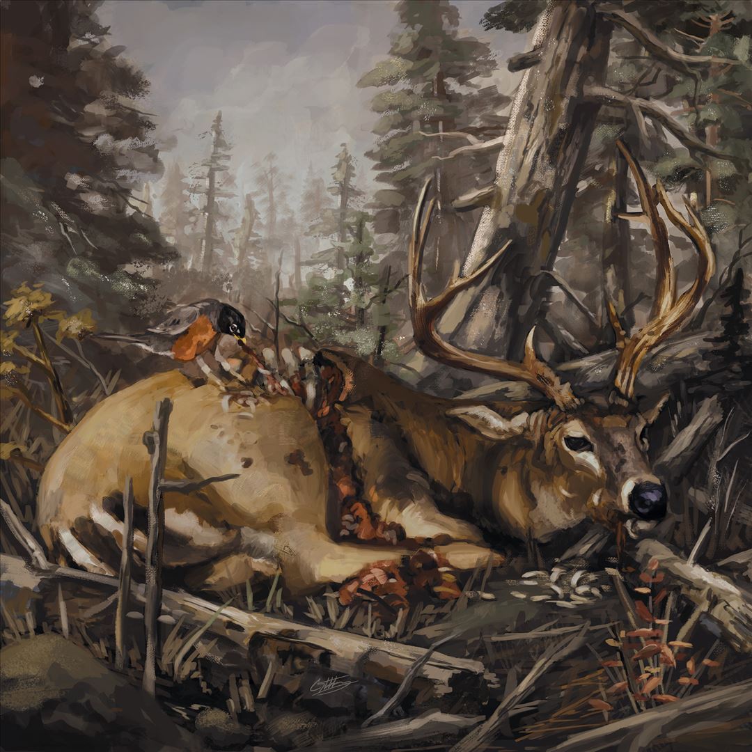 Failure Will Follow cover art