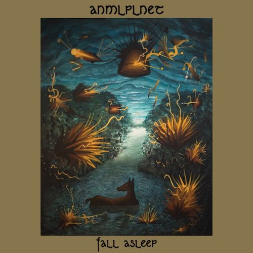 Fall Asleep cover art