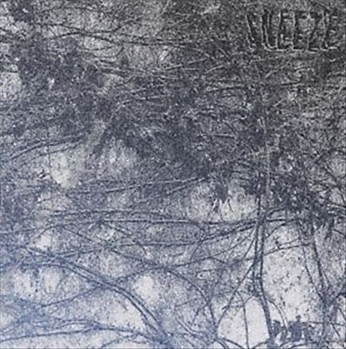 Rot cover art