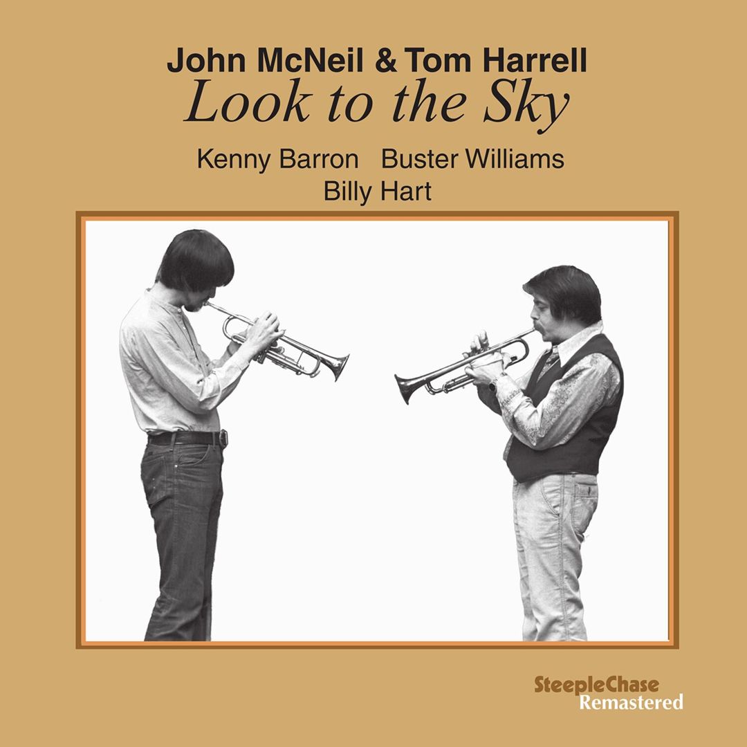 Look to the Sky cover art