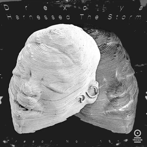 Harnessed the Storm cover art