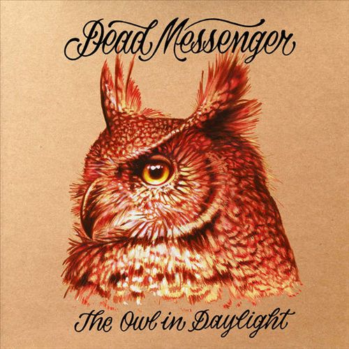 Owl in Daylight cover art