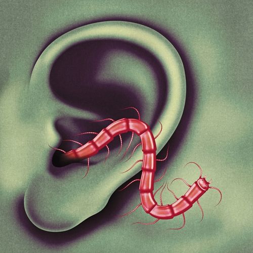 Odd Entrances cover art