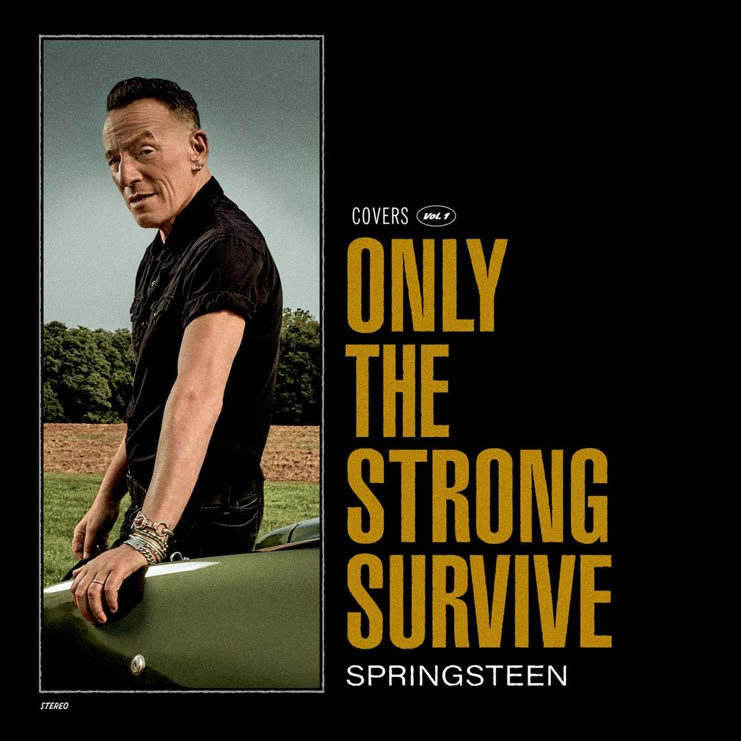 Only the Strong Survive cover art