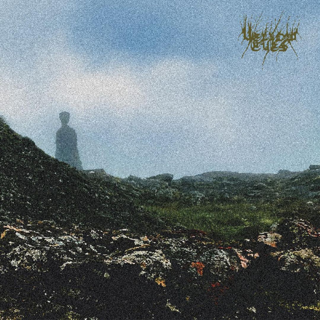 Confusion Gate cover art