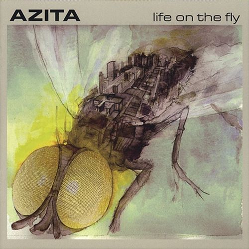 Life on the Fly cover art