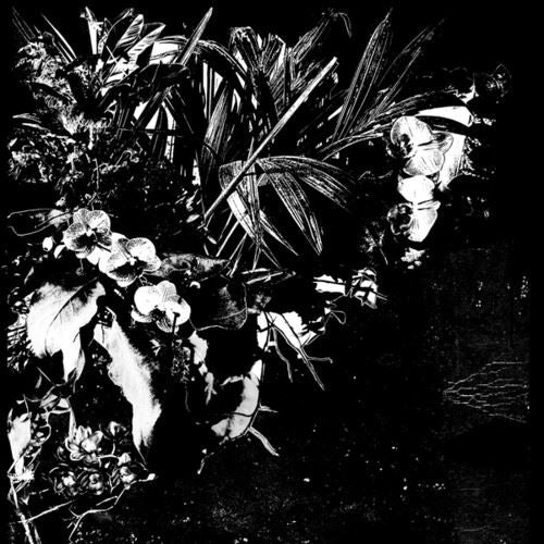 Orchid Alto cover art