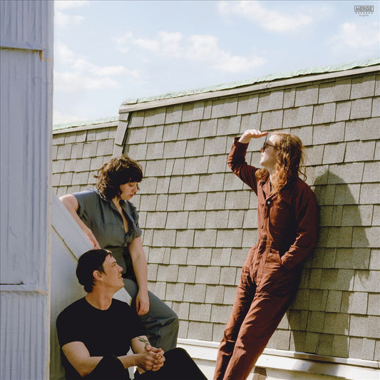 Fall into the Sun cover art