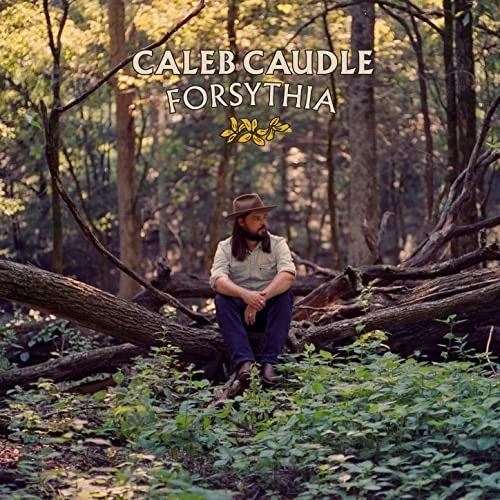 Forsythia cover art