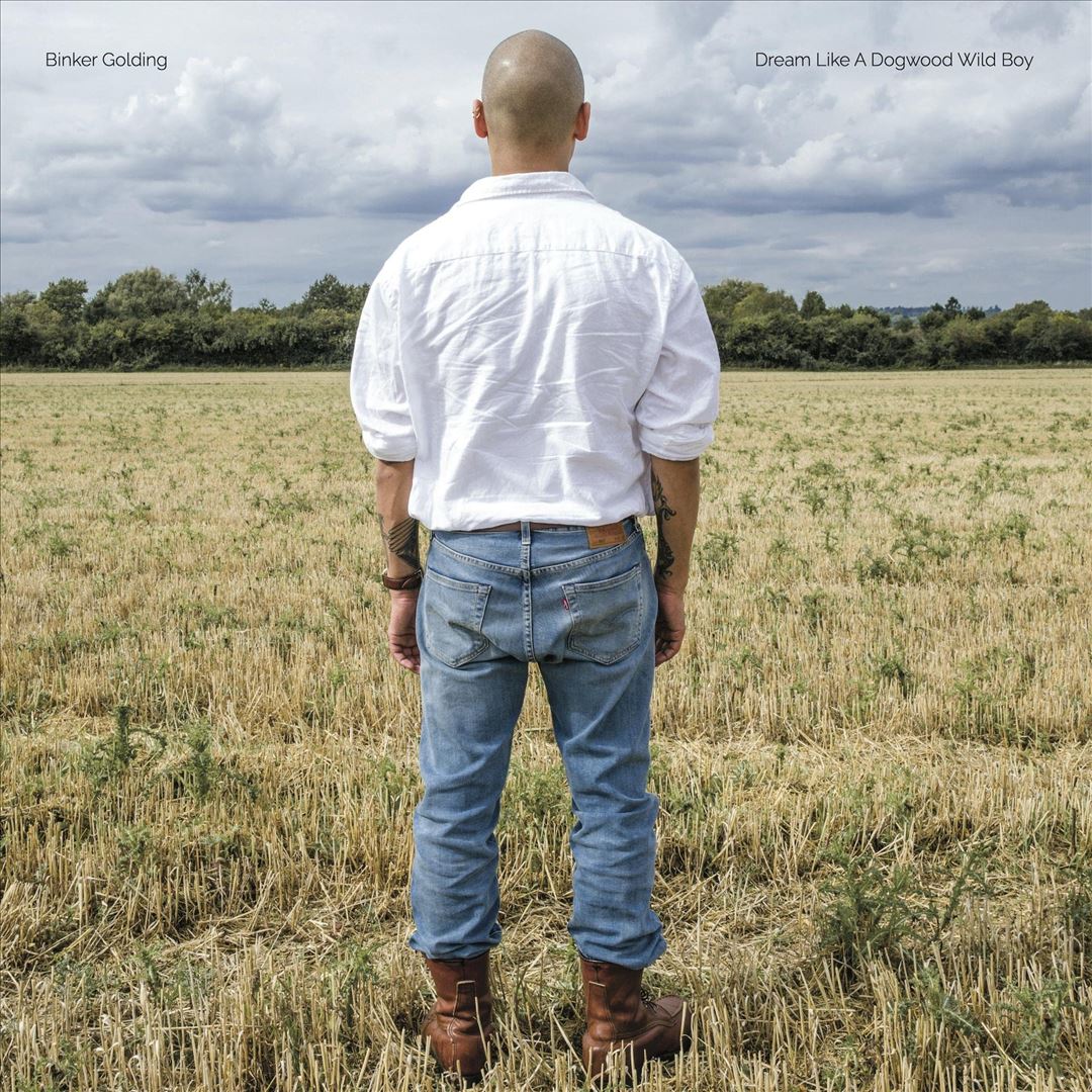 Dream like a Dogwood Wild Boy cover art