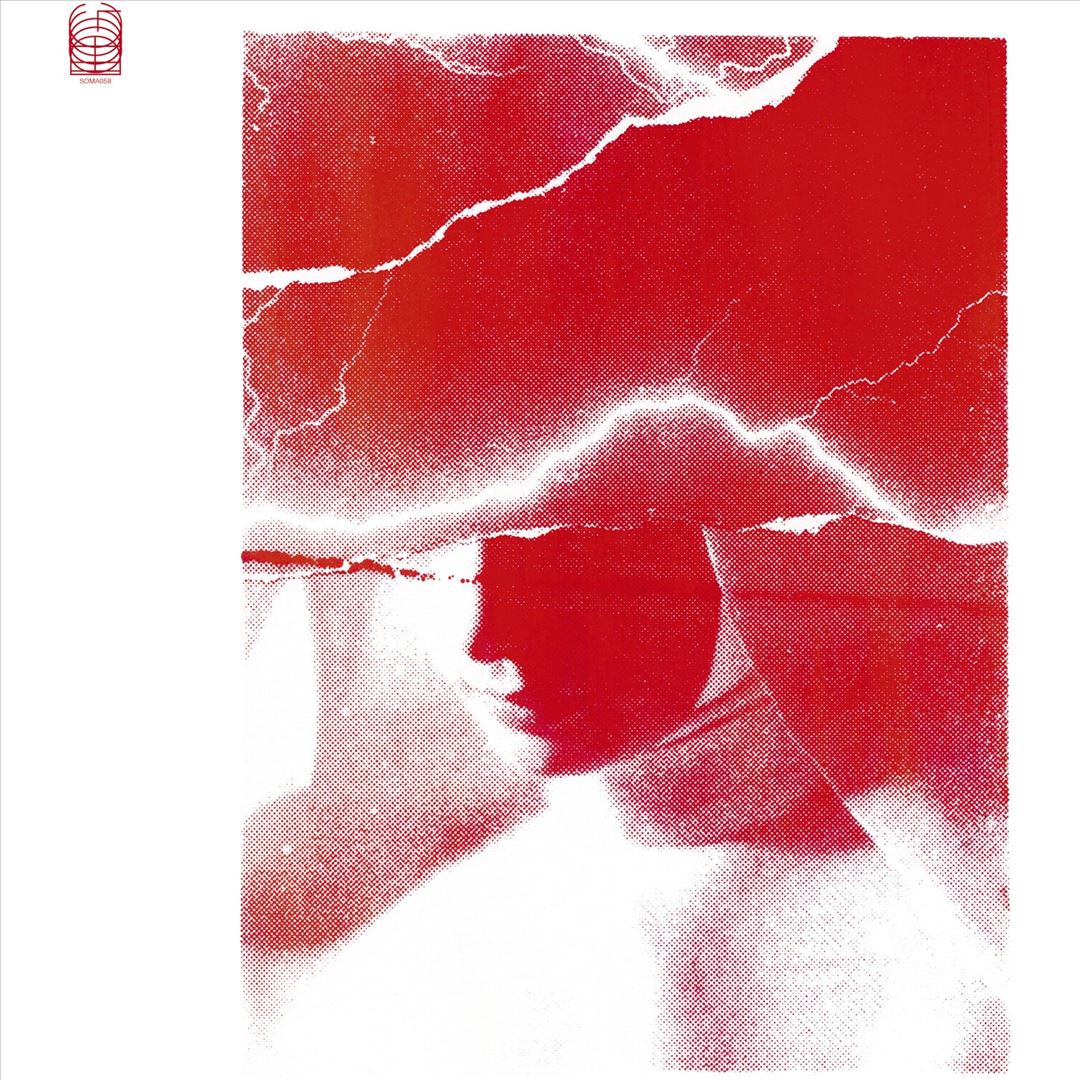 Siamo Tutti in Pericolo cover art