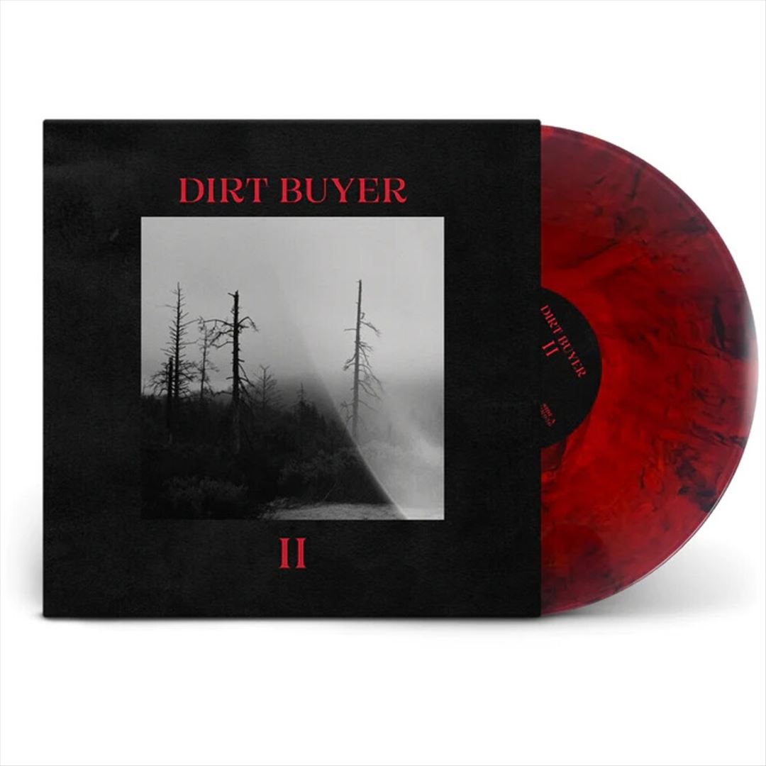 Dirt Buyer II cover art