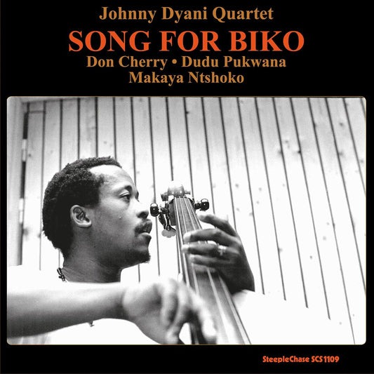 Song for Biko cover art
